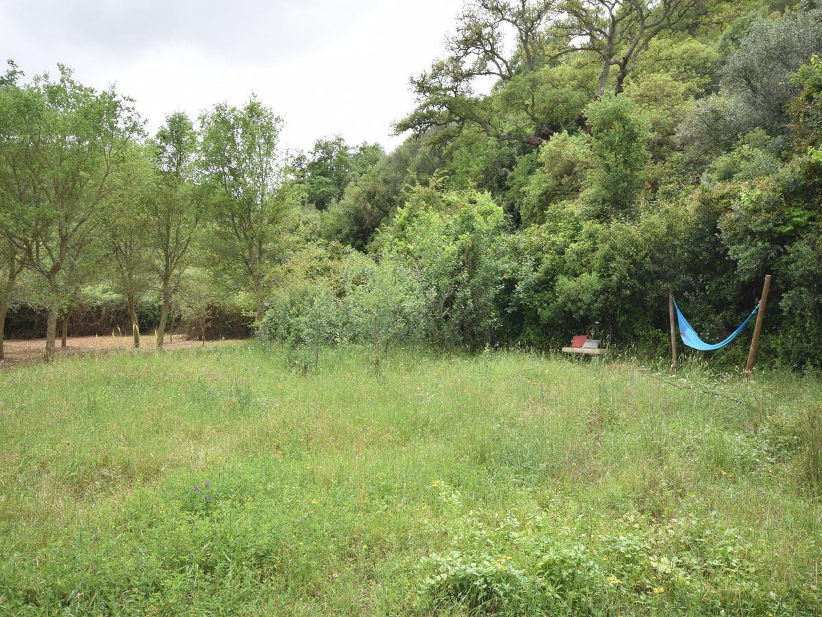 Quiet And Cottage In The Estate Casas Da Cerca Troviscais Room photo